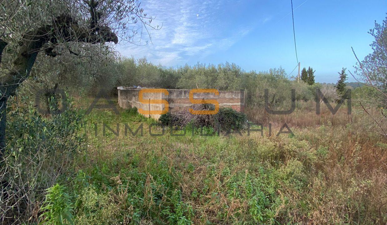 TA02834