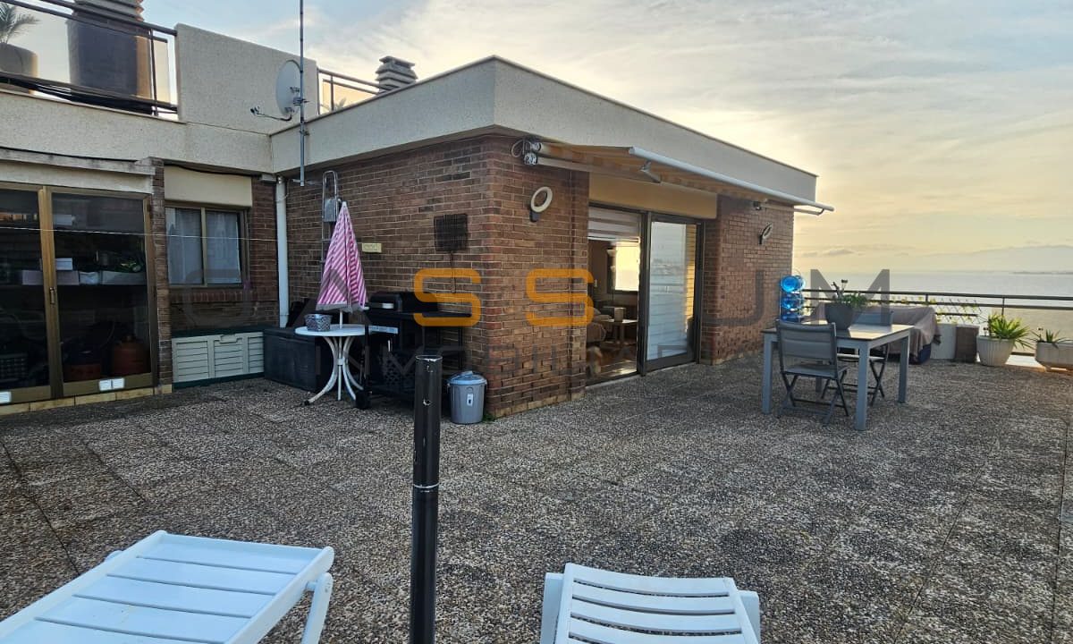 56